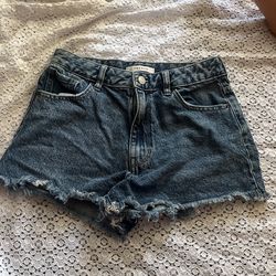 Pacsun Shorts