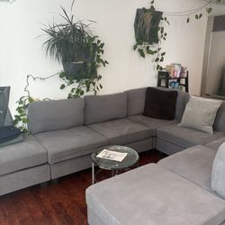 Large Couch 