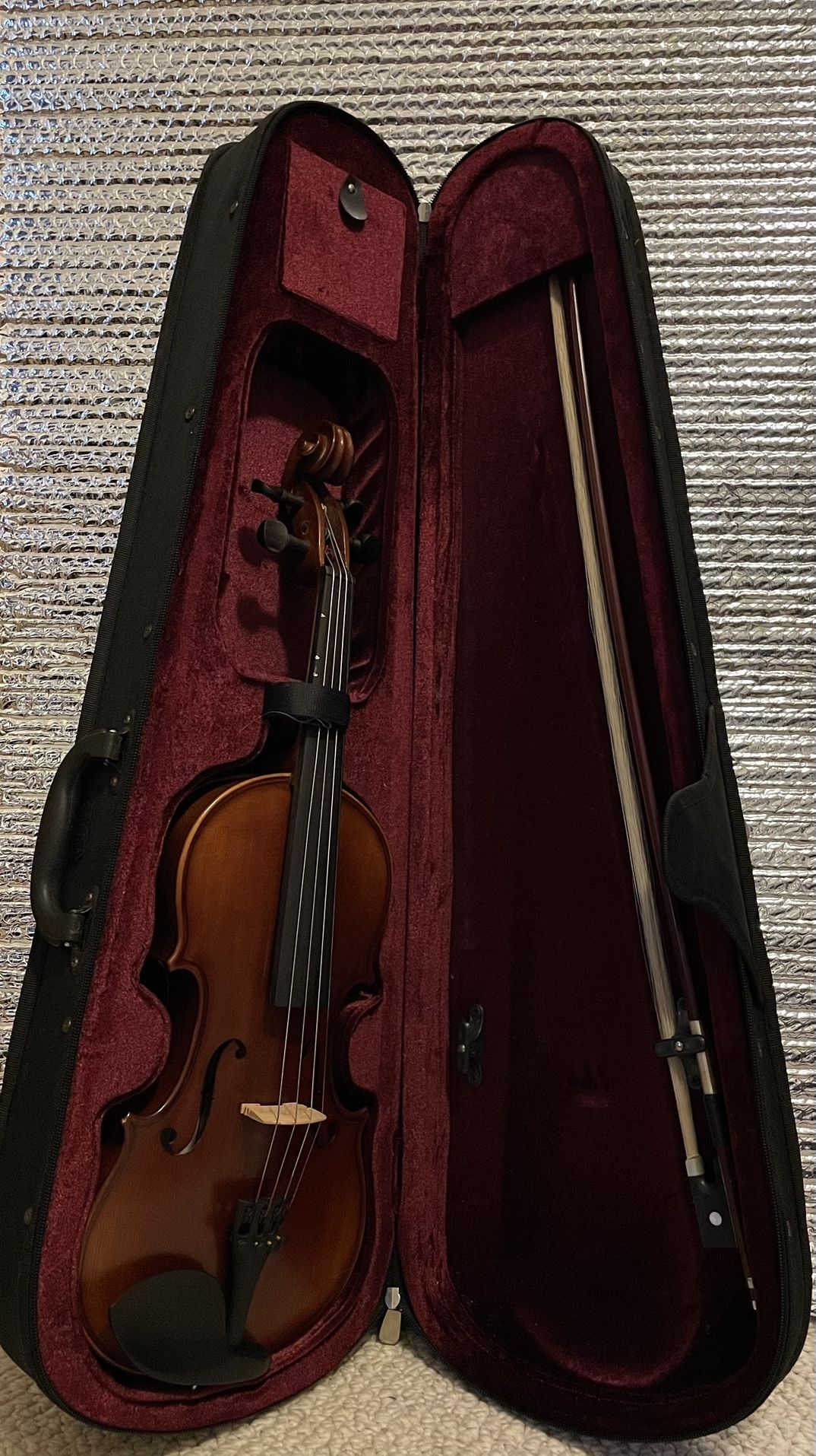 Beginner Violin