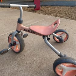 Toddler Girls Bike