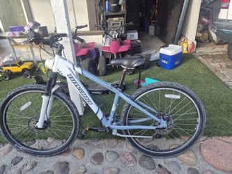 Bike adult