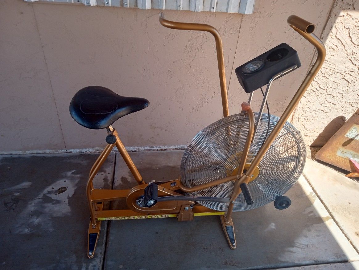 Vintage Schwinn Exercise Bike
