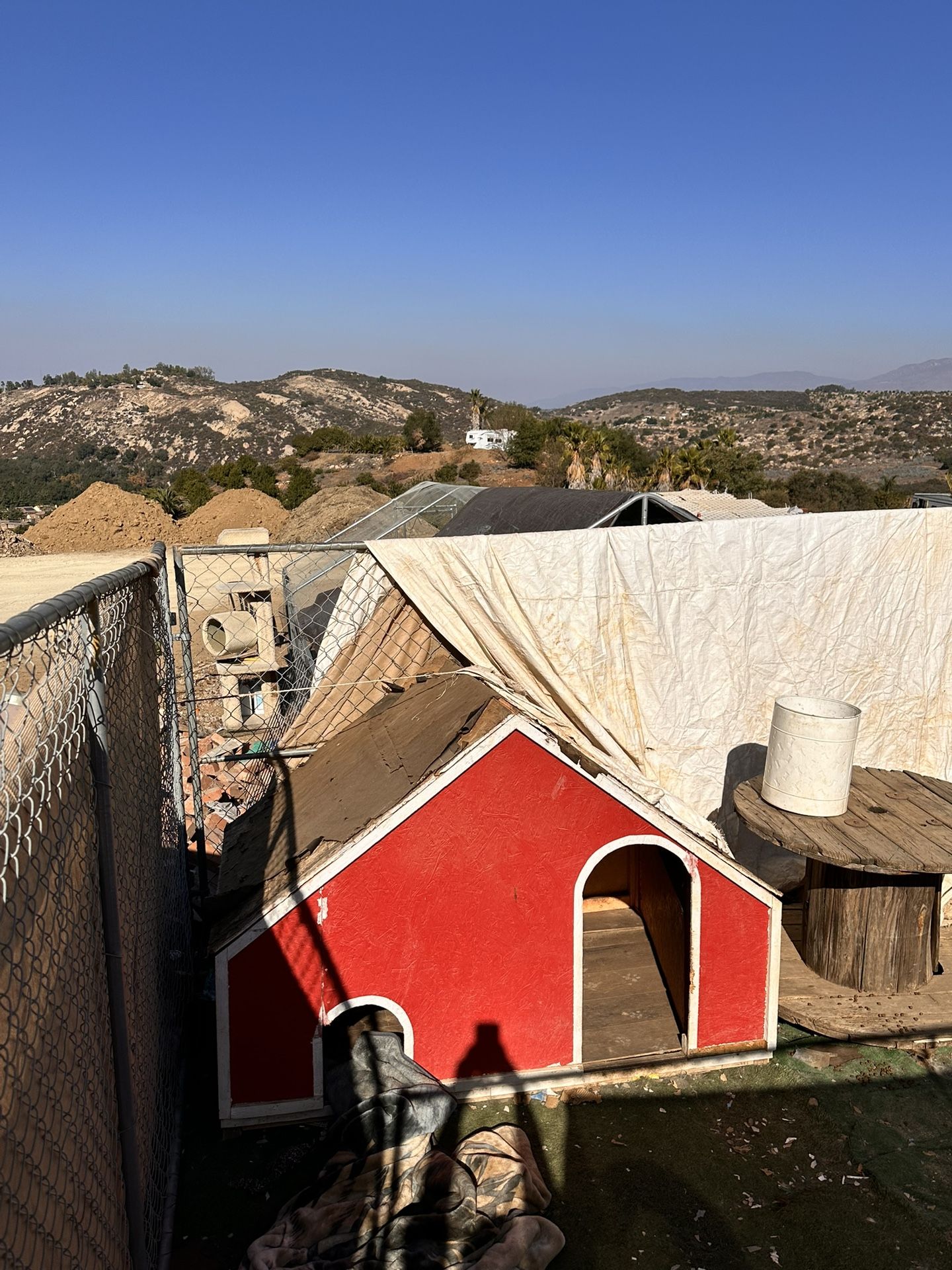 Dog House