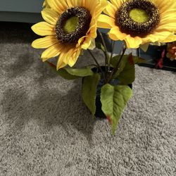 Sunflower Pot 