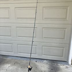 Fishing Rod and Reel