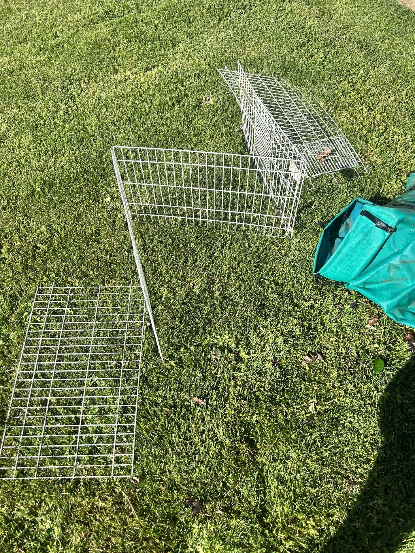 Midwest Guinea Pig Cage