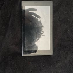 Nintendo Switch Screen.