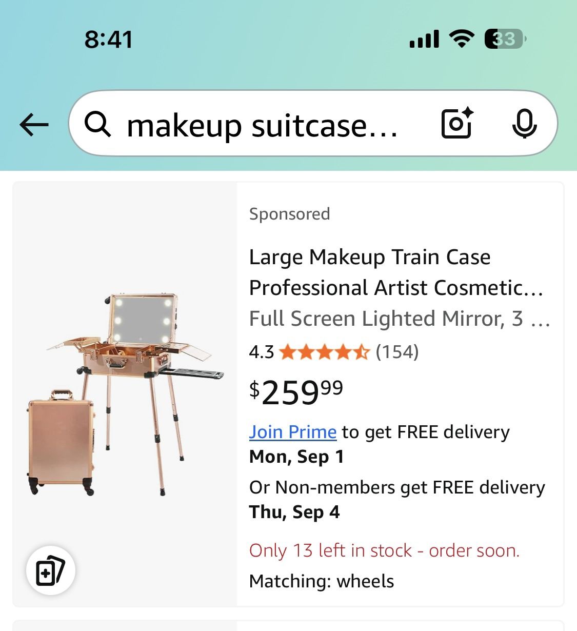 Large Makeup Train Case Professional Artist Cosmetic Organizer