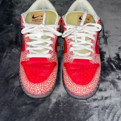 Nike Sb Stingwater Magic Mushroom, Size 9.5