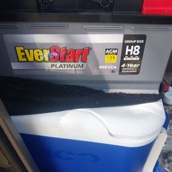 Brand NEW Everstart PLATINUM H8 BATTERY