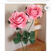 White Orchid Boutique