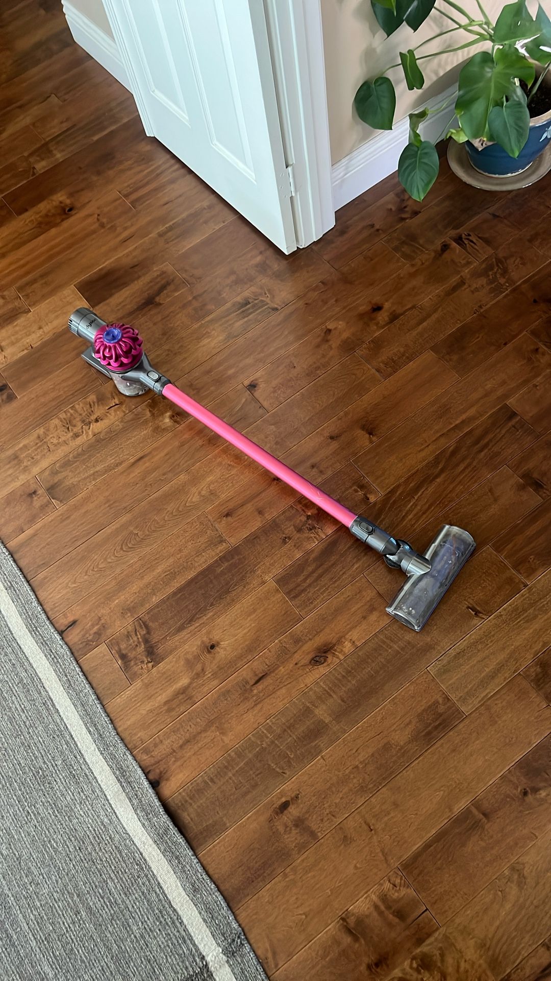 Dyson DC62 Cordless Vacuum