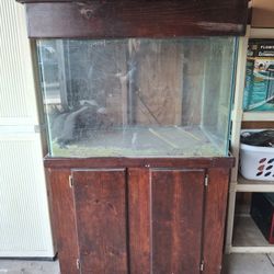 Fish Tank