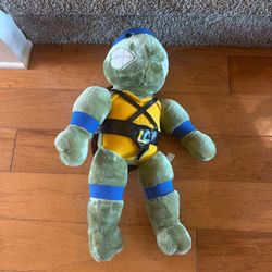 Teenage Mutant Ninja Turtle 