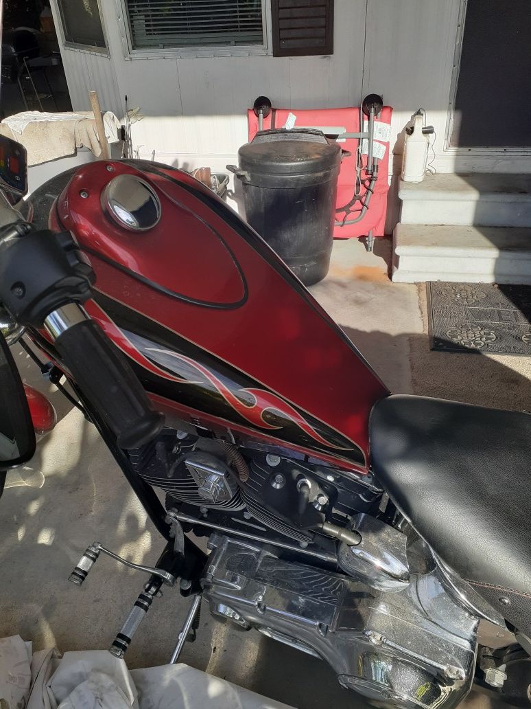2008 Thunder Mountain chopper
