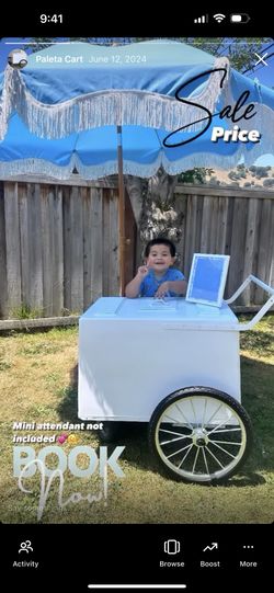 Paleta cart / Paletero