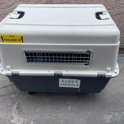 Pet travel crate