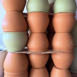 Set of 5 Wisteria Pot Planters