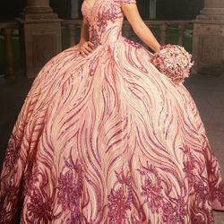 beautiful Elegant XV Dress