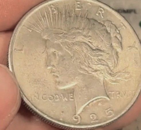 Morgan And Peace Silver Dollar