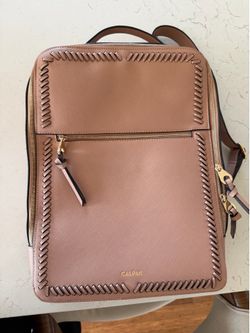 Calpak Laptop Backpack
