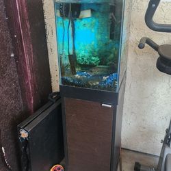 Fishtank