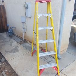 Warner 6' ladder