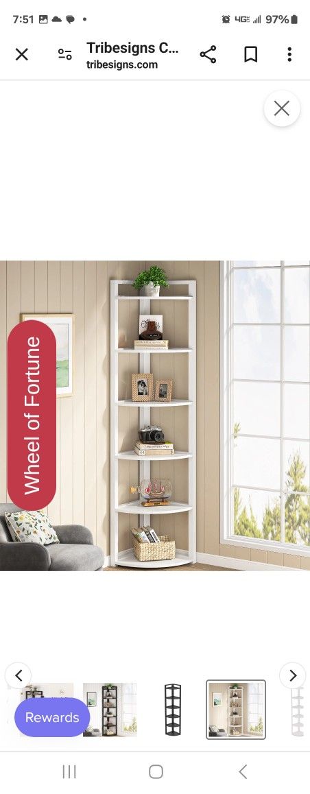 Shelf