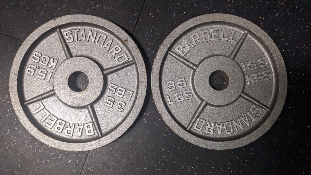 Pair 35lbs Steel Plates 