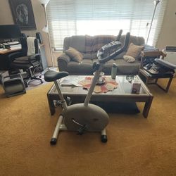 LINEX Exercise Bike