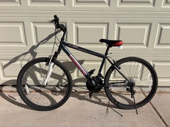 RoadMaster Bike