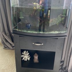 Fish Tank, Stand And Light 