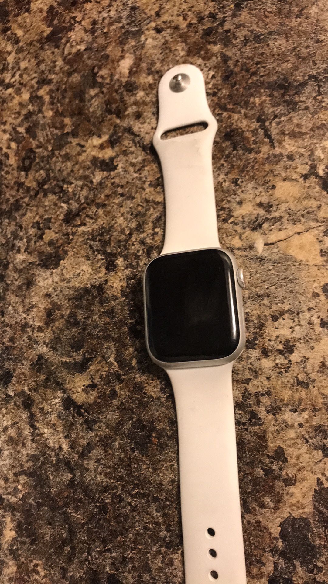 Apple Series 9 Watch/ Stainless 45 MM