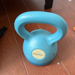 Adjustable 10lb kettle ball