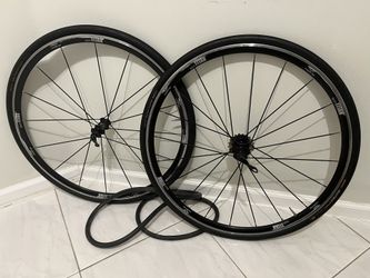 Titan Forte 700c bike wheelset - 24/20 bladed spokes