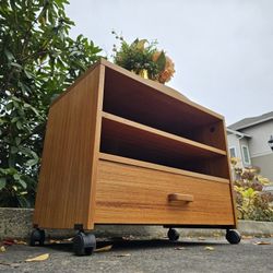 MARVELOUS Danish Modern Teak TV Stand 1 Drawer 1 Shelf