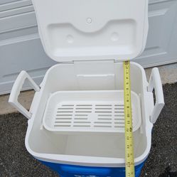 Igloo Ice Cube 48-quart Cooler