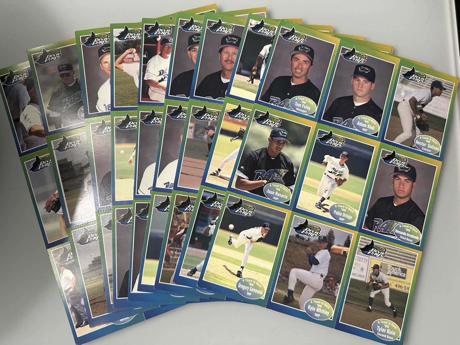 Tampa Bay Devil Rays Inaugural Season Team (9- Uncut Perforated Sheets)