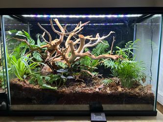 Reptile tank ( 29 gallons )