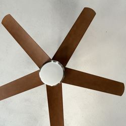 Ceiling Fans 