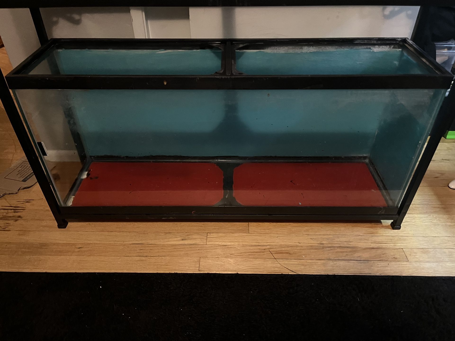55 Gallon Fish Tank