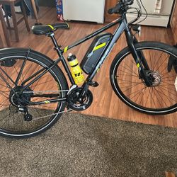 Electric Bike 20/25