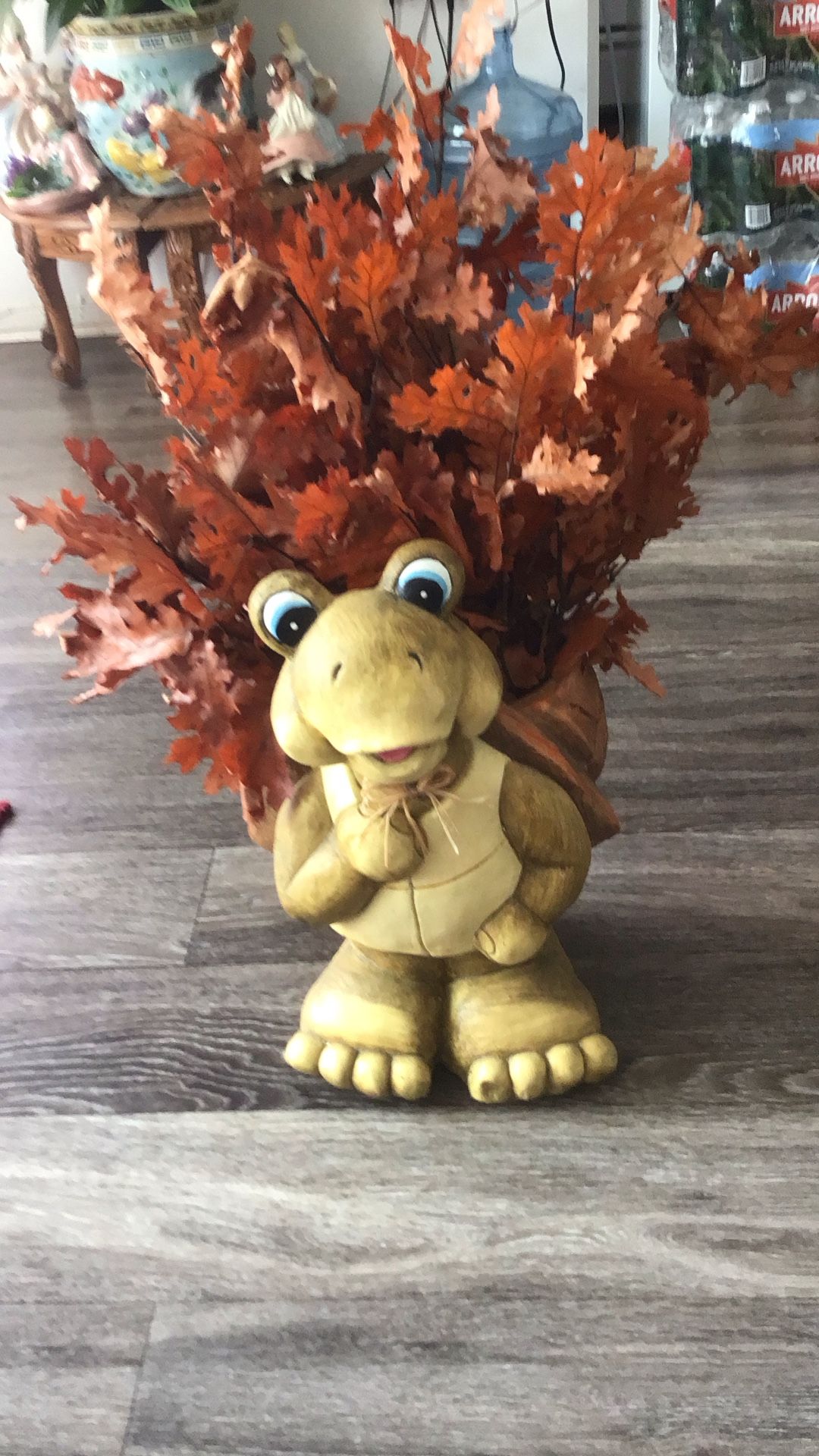 Plantero De Tortuga