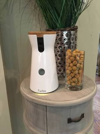 Brand New Furbo In Box Pet Camera