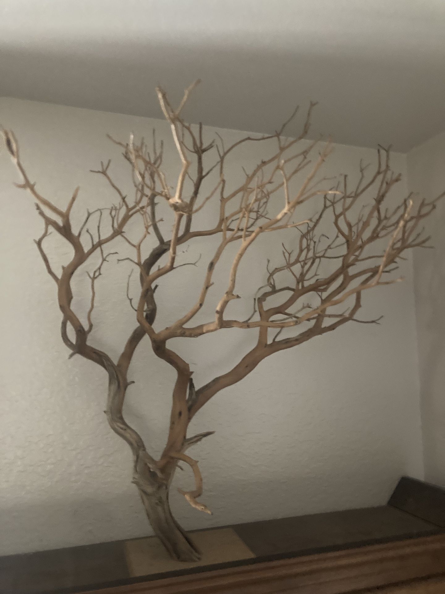 Jewelry tree
