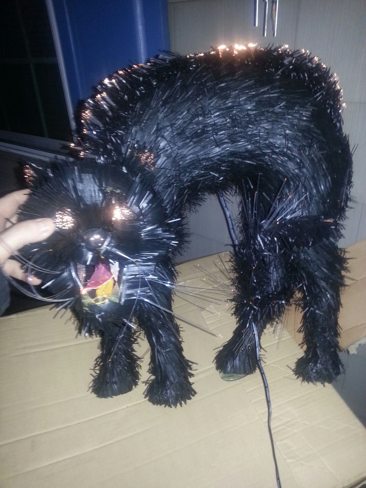 New fiber optic lights cat..