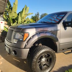 2010 Ford F-150