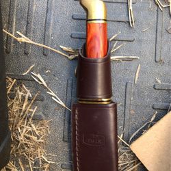 Carving Knife