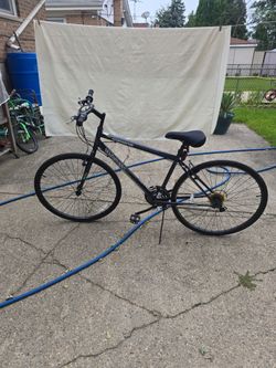 Adult Bike 28in