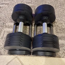 50Ib Adjustable Dumbbells | Home Gym